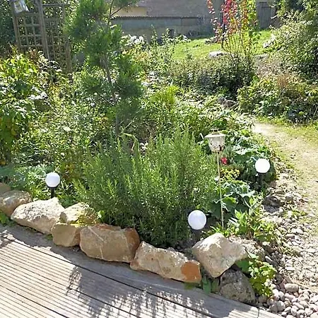 Dans Un Jardin